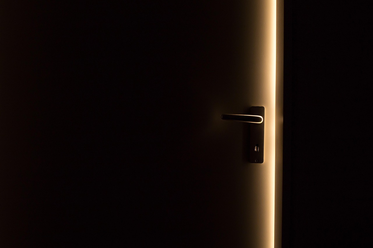 How to Choose the Best Door Finish for Warm Minimalist Interiors